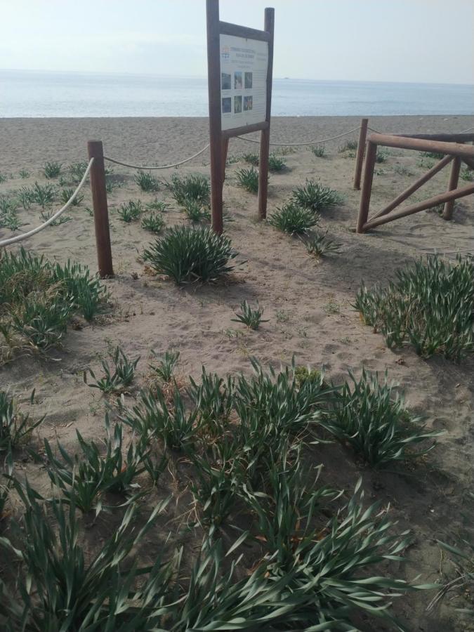 Beach Home Nature Velez Malaga Exterior foto